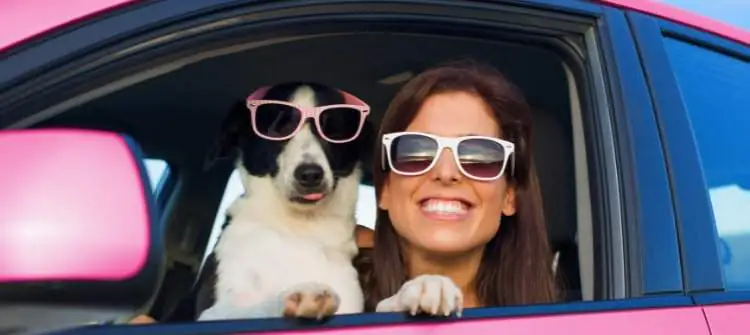 These are the Best Car Features for Pet Owners to Ensure Comfort and Safety. The best car features for pet owners.